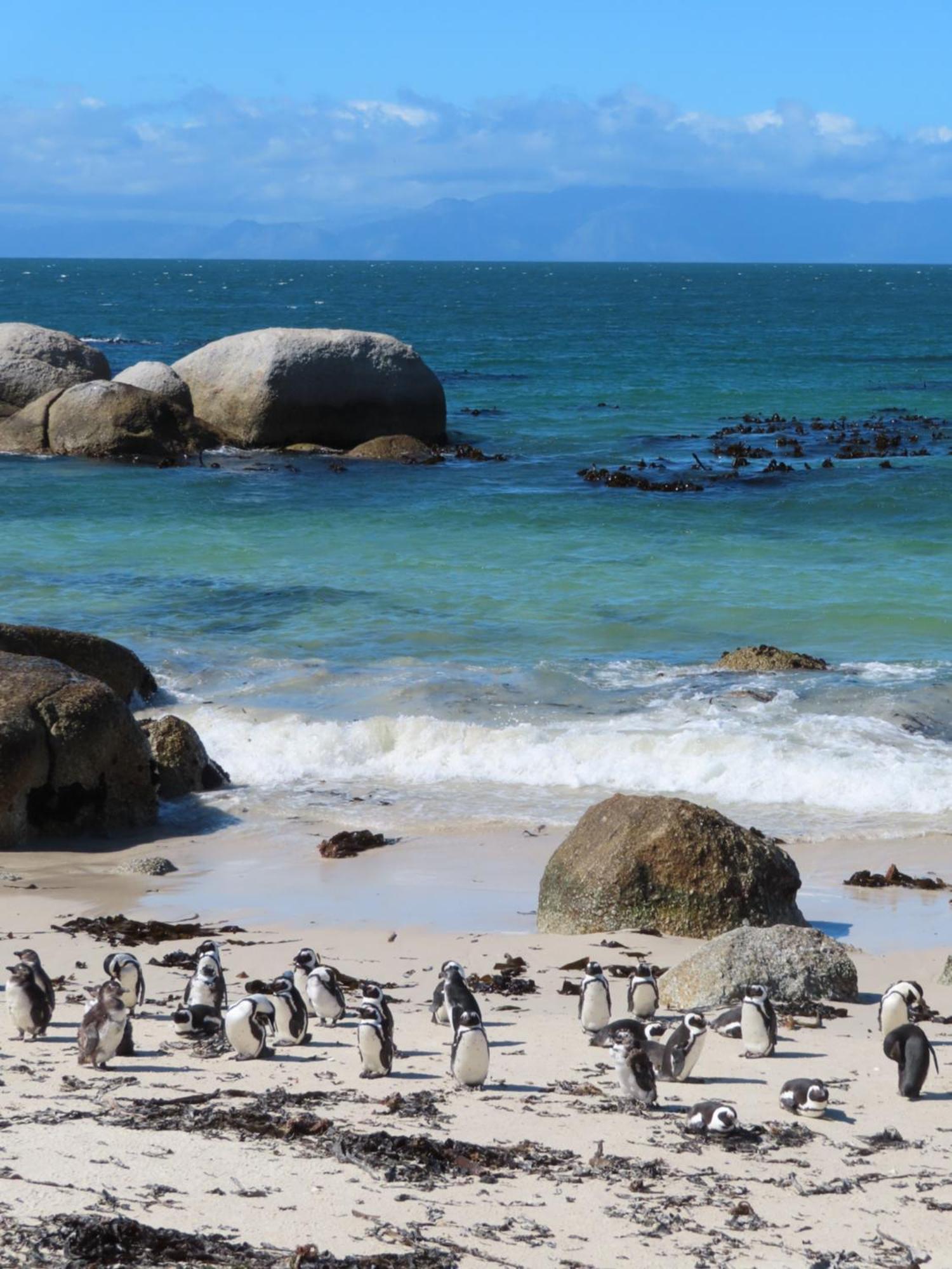 Bonne Esperance, Simon'S Town Apartment Luaran gambar