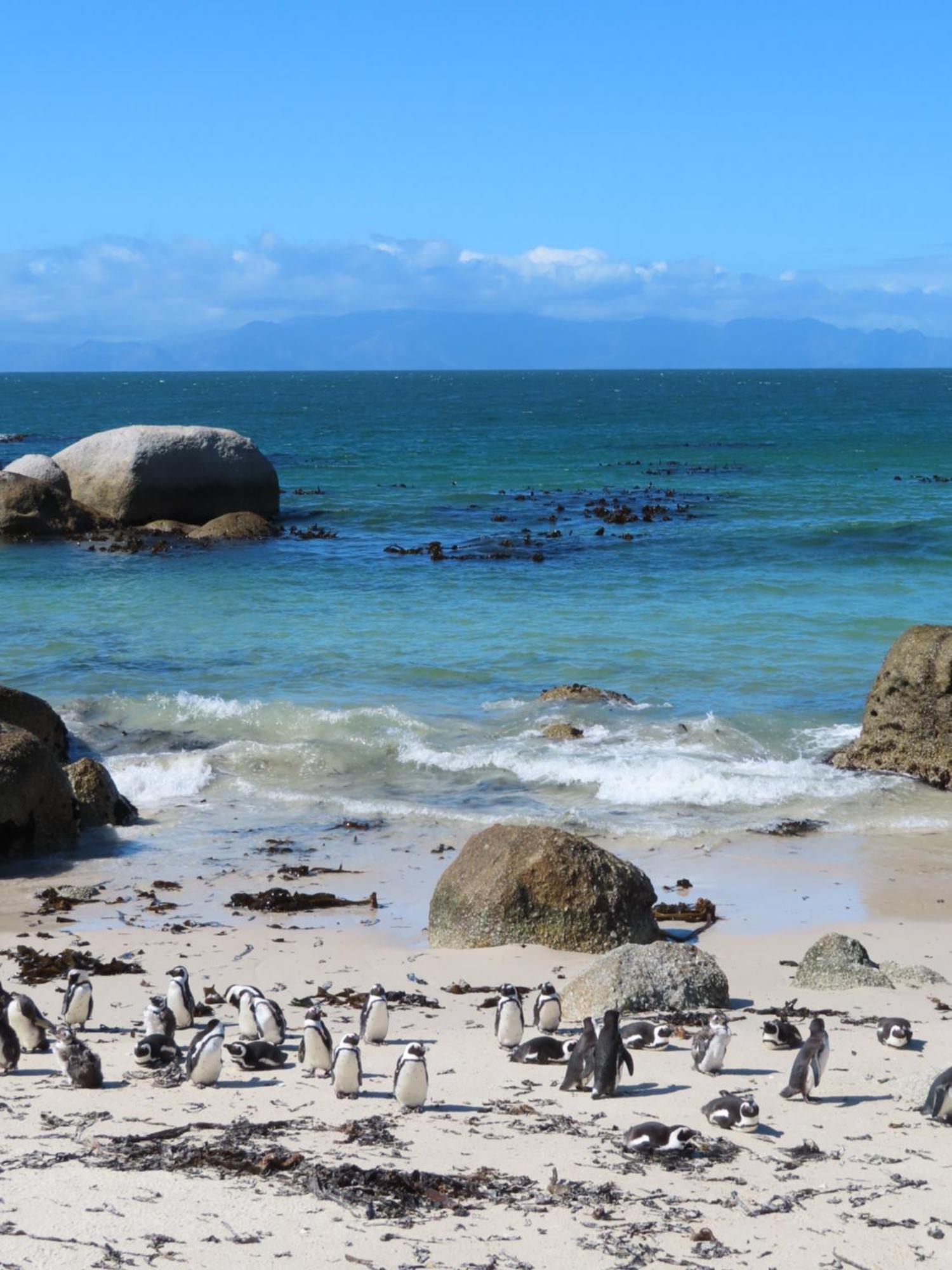Bonne Esperance, Simon'S Town Apartment Luaran gambar